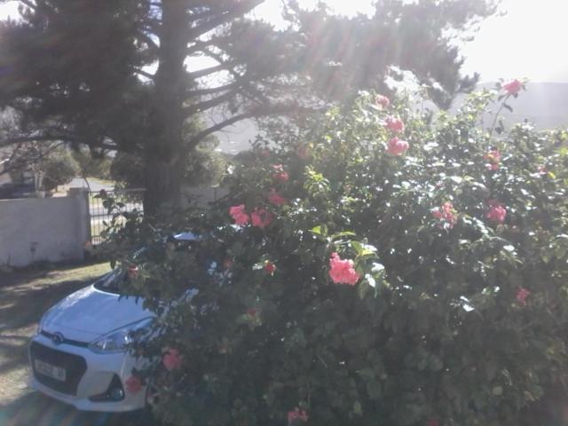Self Catering Unit 7, Sandbaai Hermanus Exterior foto