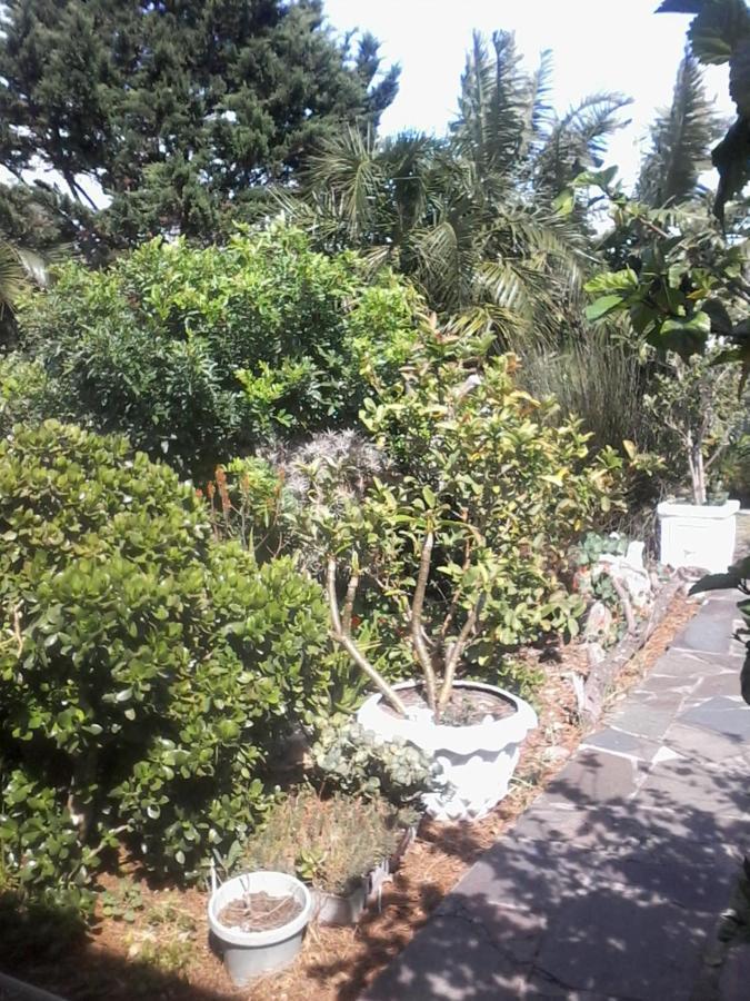 Self Catering Unit 7, Sandbaai Hermanus Exterior foto