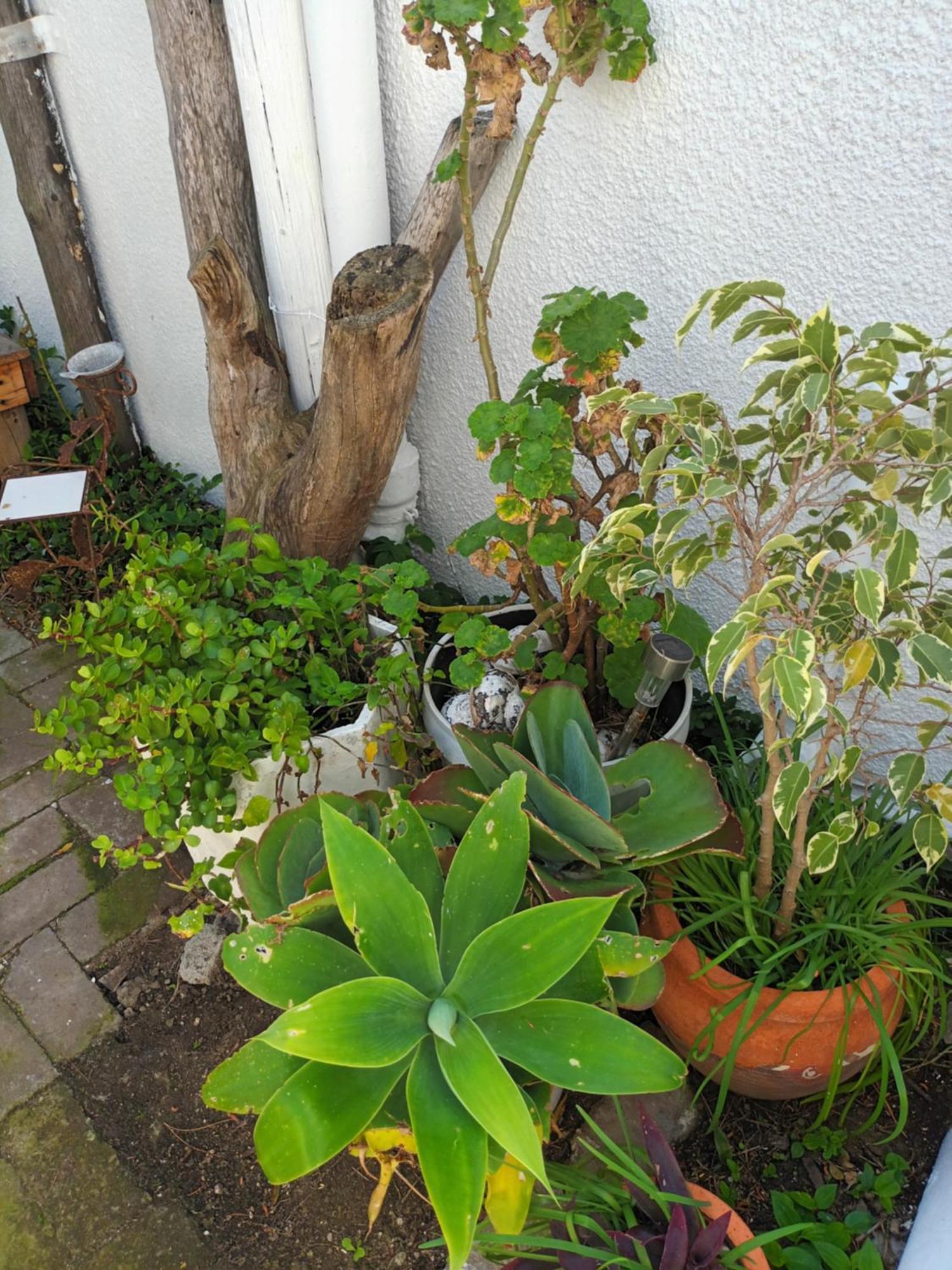 Self Catering Unit 7, Sandbaai Hermanus Habitación foto